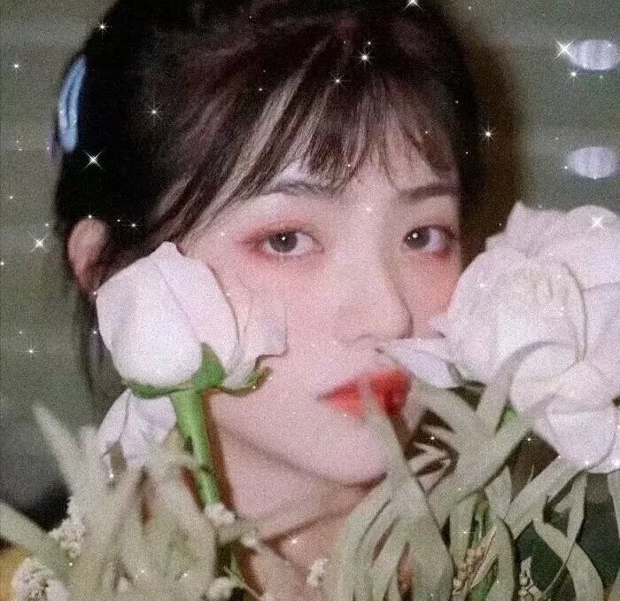 公鸡